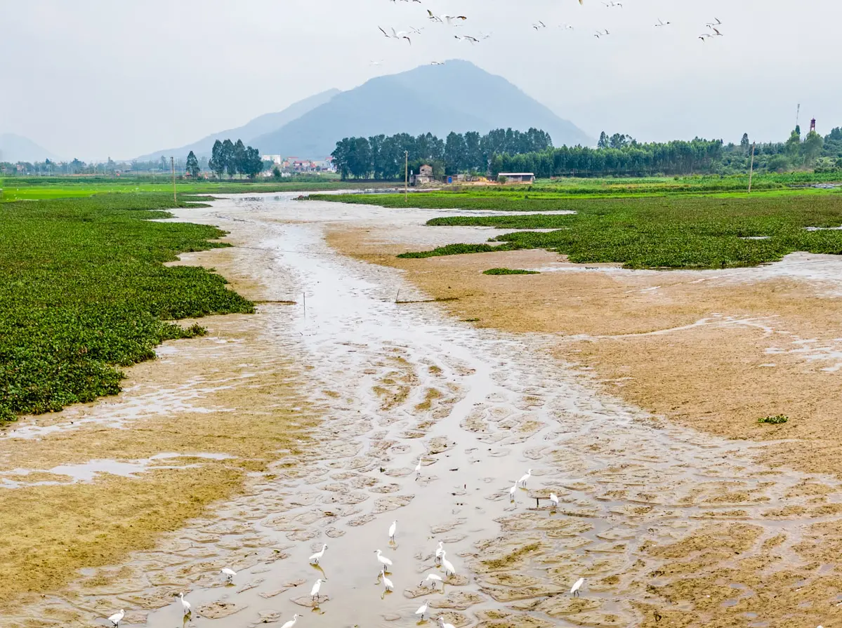 Miền quê Lục Nam.